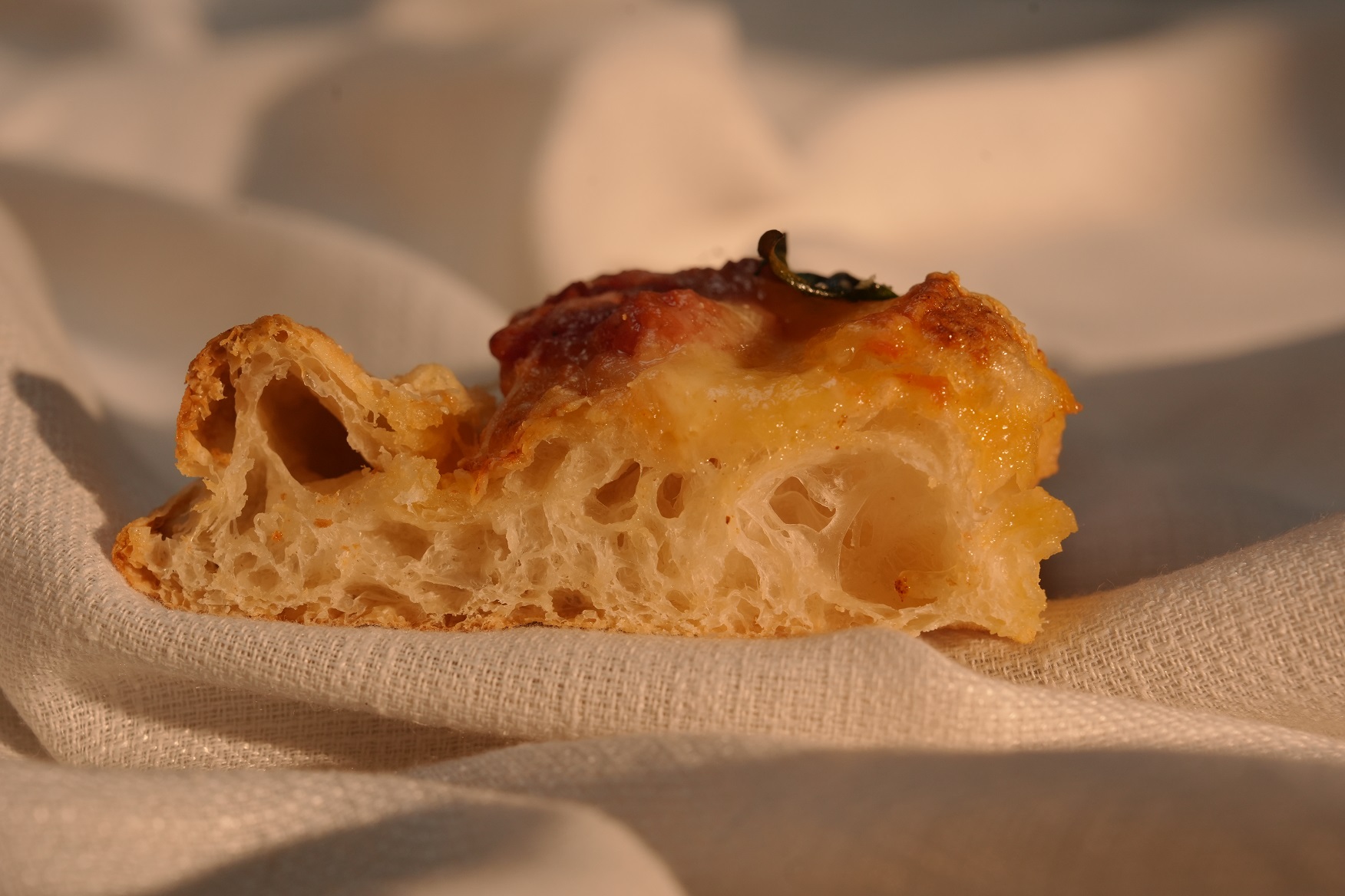 Neapolitan sourdough pizza dough texture